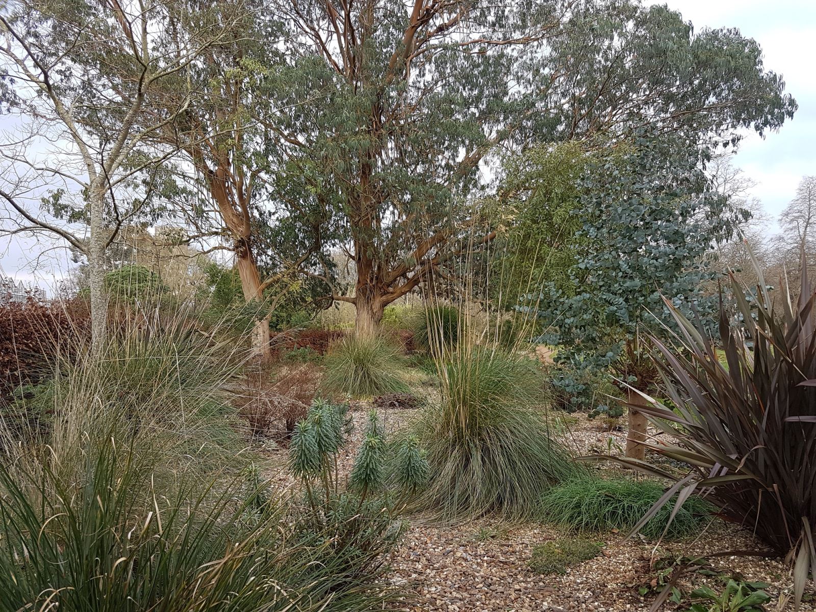 Harris Garden Visit Reading